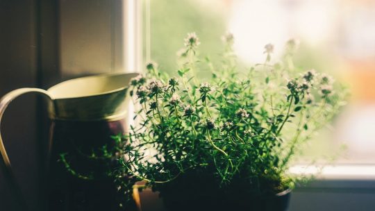 Décoration de la maison en mode DIY pour une activité à la maison