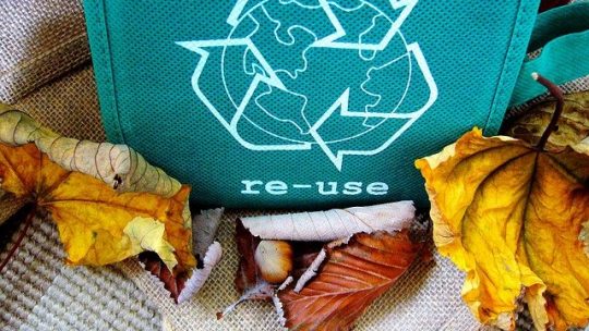 Participer au bien-etre de l’environnement et creer votre societe de recyclage