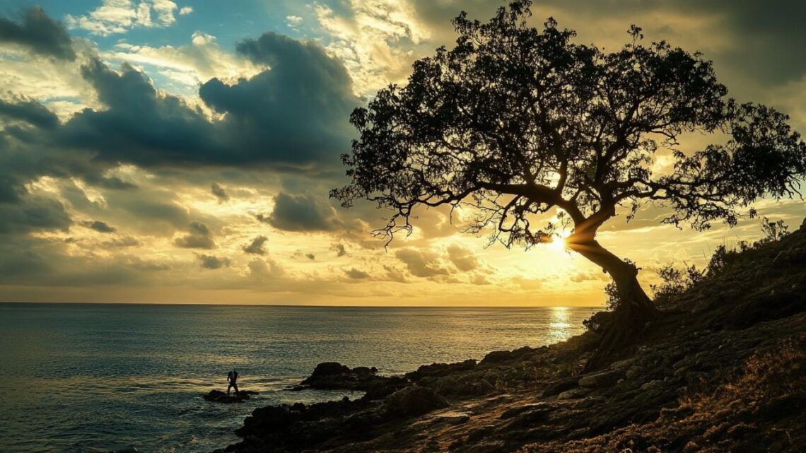 One Dekra : découvrez les avantages exclusifs de cette solution connectée pour automobilistes