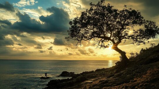 One Dekra : découvrez les avantages exclusifs de cette solution connectée pour automobilistes